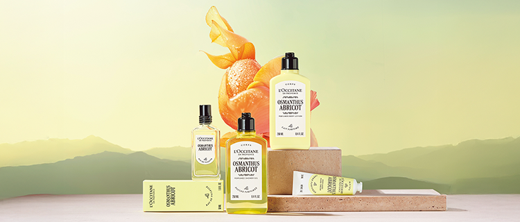 Linha floral Osmanthus