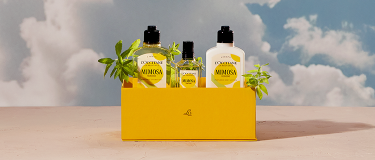 Monte seu Presente com um Lan&ccedil;amento