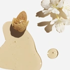 Prote&iacute;na de Am&ecirc;ndoas